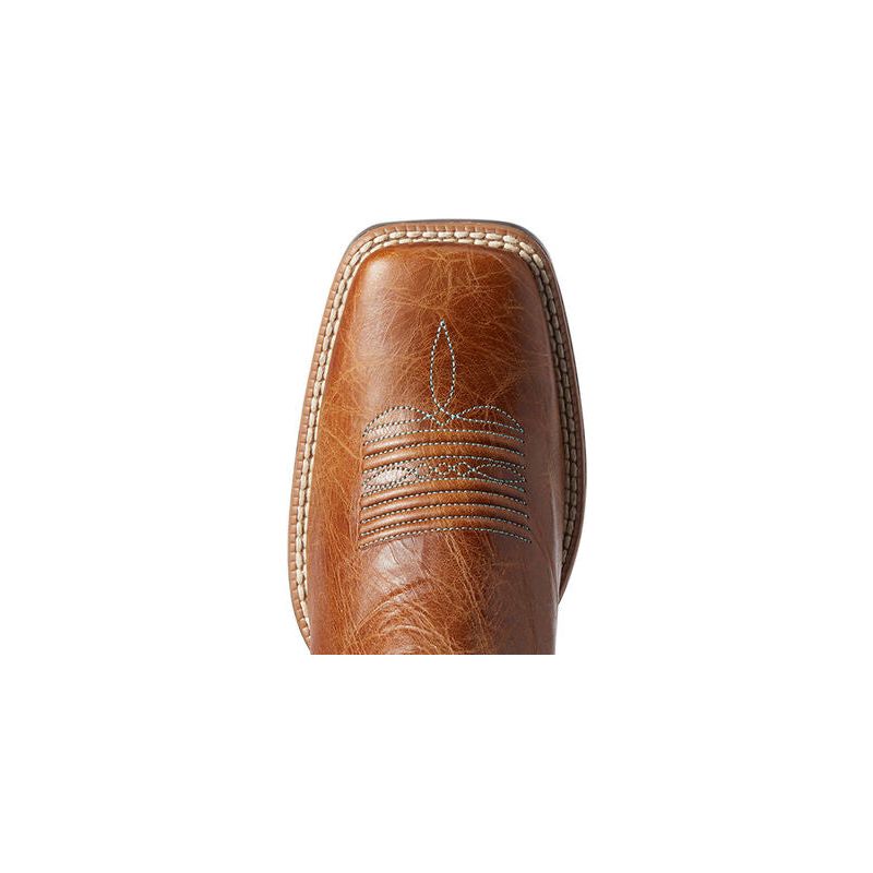 10038461_toe