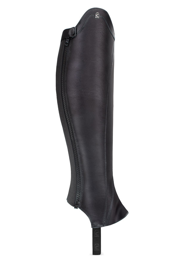 CAVALDRESSAGE Chap