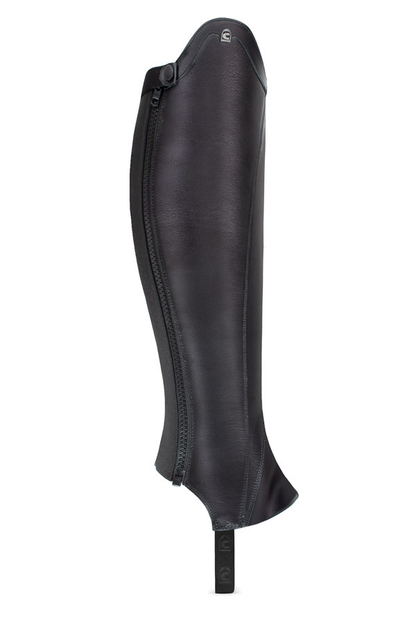 CAVALDRESSAGE Chap