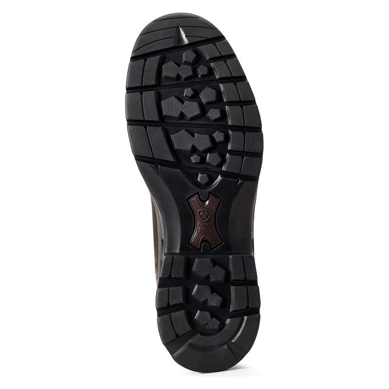 F19_WMS_ENGL_Couto_10029469_sole