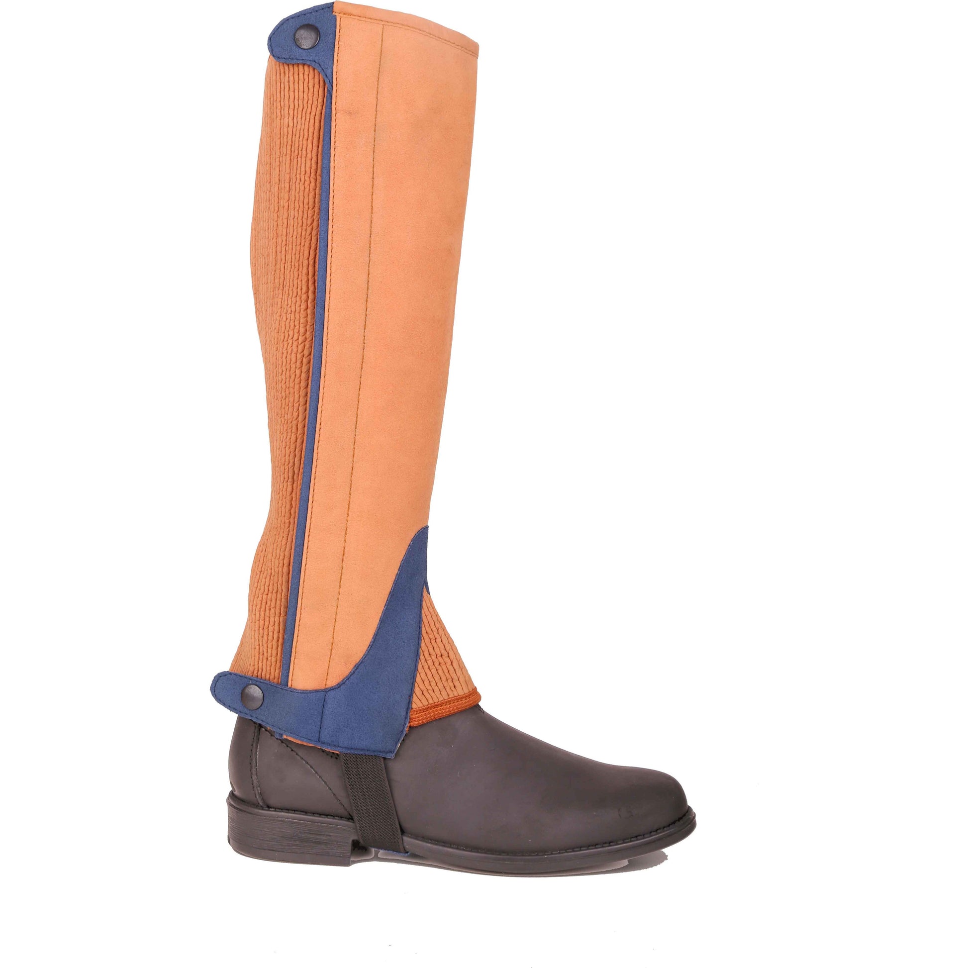 H-Edition-apricot