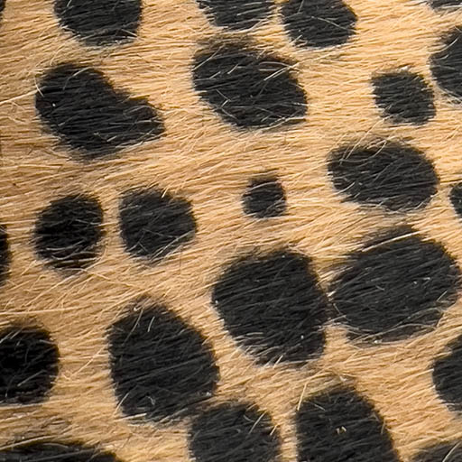 473-cheetah-print